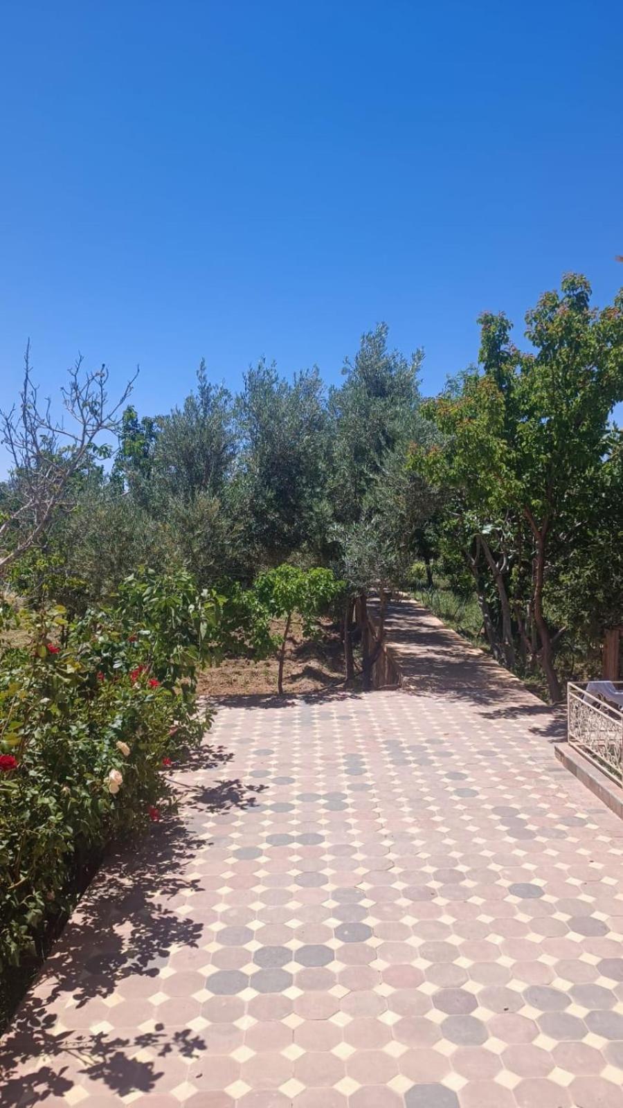 Chez L'Habitant Amazigh 瓦尔扎扎特 外观 照片