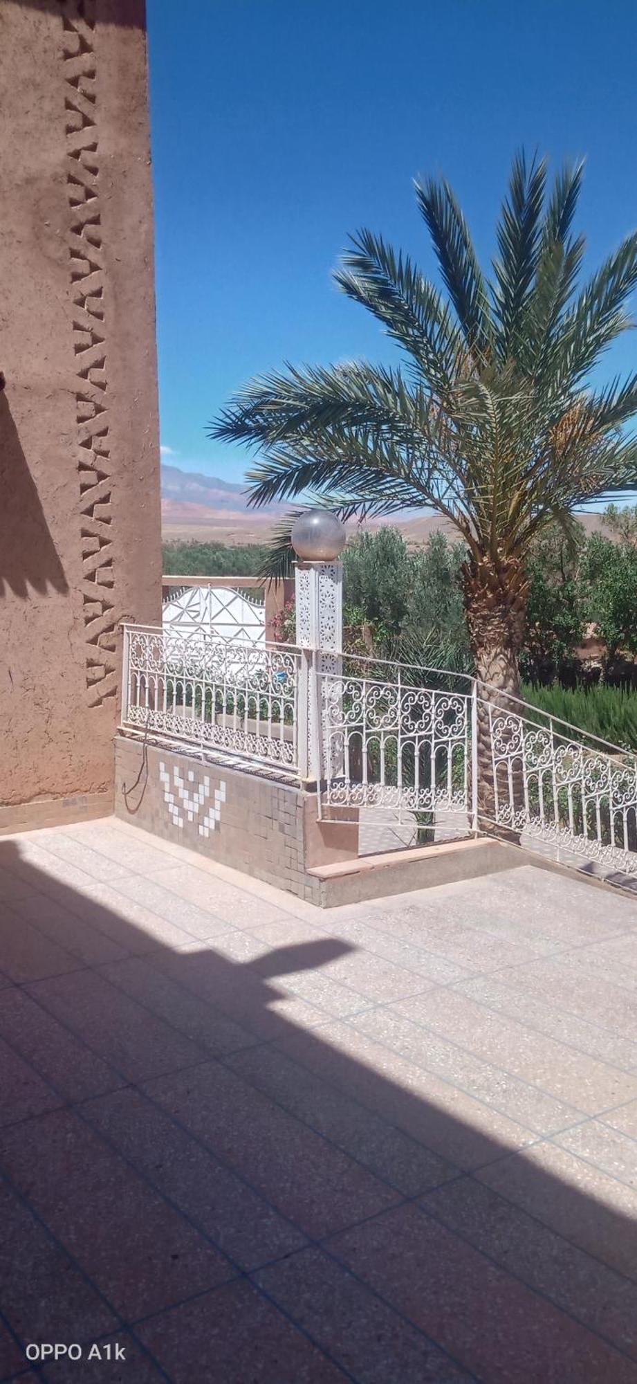 Chez L'Habitant Amazigh 瓦尔扎扎特 客房 照片