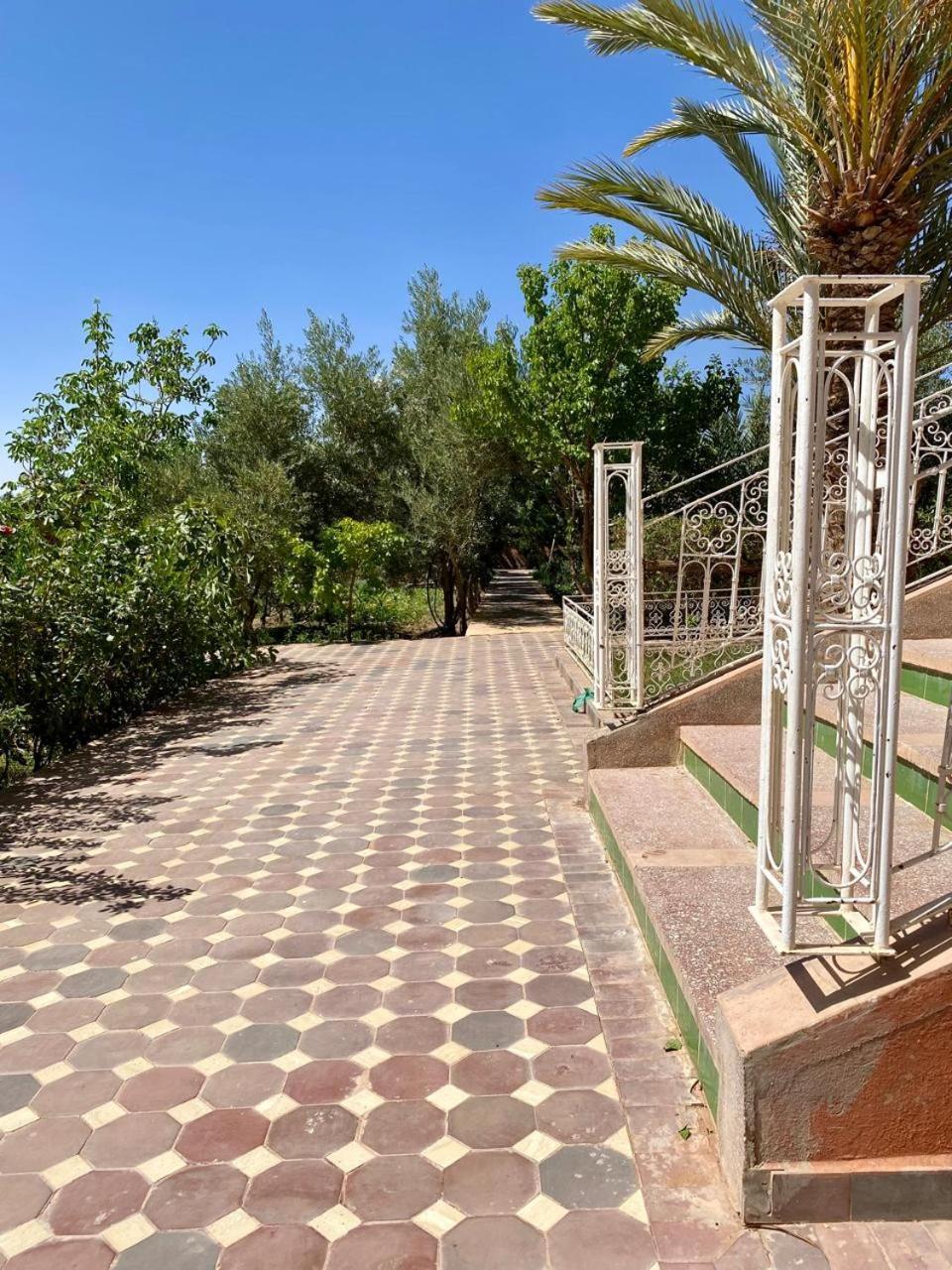 Chez L'Habitant Amazigh 瓦尔扎扎特 外观 照片